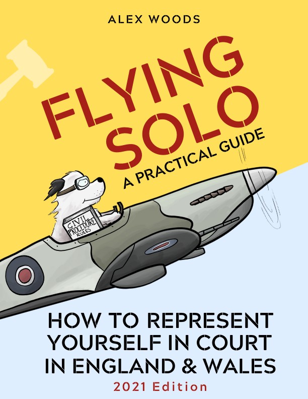 Flying Solo — Alex Woods